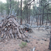 Wilderness Wickiup Shelter